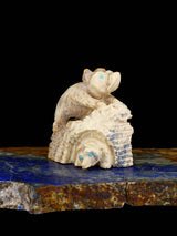Fétiche Zuni des ours serpentins