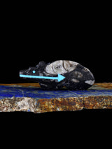 Fossilized Orthoceras Bear Zuni Fetish