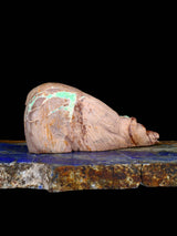Fétiche Zuni Ours Fluorite