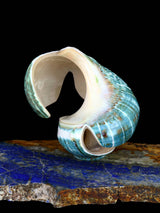 Fetiche Zuni de Águila de Concha de Caracol Verde