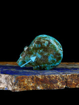 Turquoise Bear Zuni Fetish
