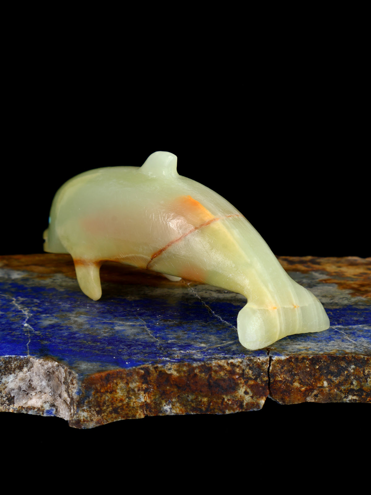 Onyx Dolphin Zuni Fetish