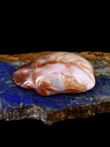 Fetiche Zuni de la rana ostra espinosa