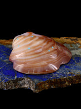 Fetiche Zuni de la rana ostra espinosa
