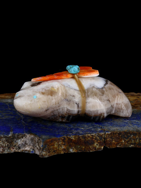 Onyx Badger Zuni Fetish - PuebloDirect.com