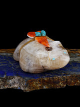 Onyx Badger Zuni Fetish - PuebloDirect.com