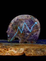 Kaleidoscope Fluorite Medicine Bear Zuni Fetish