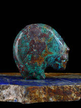 Sonoran Sunrise Medicine Bear Zuni Fetish