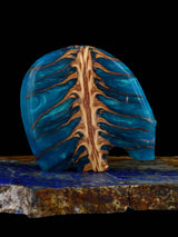Pinecone in Resin Medicine Bear Zuni Fetish