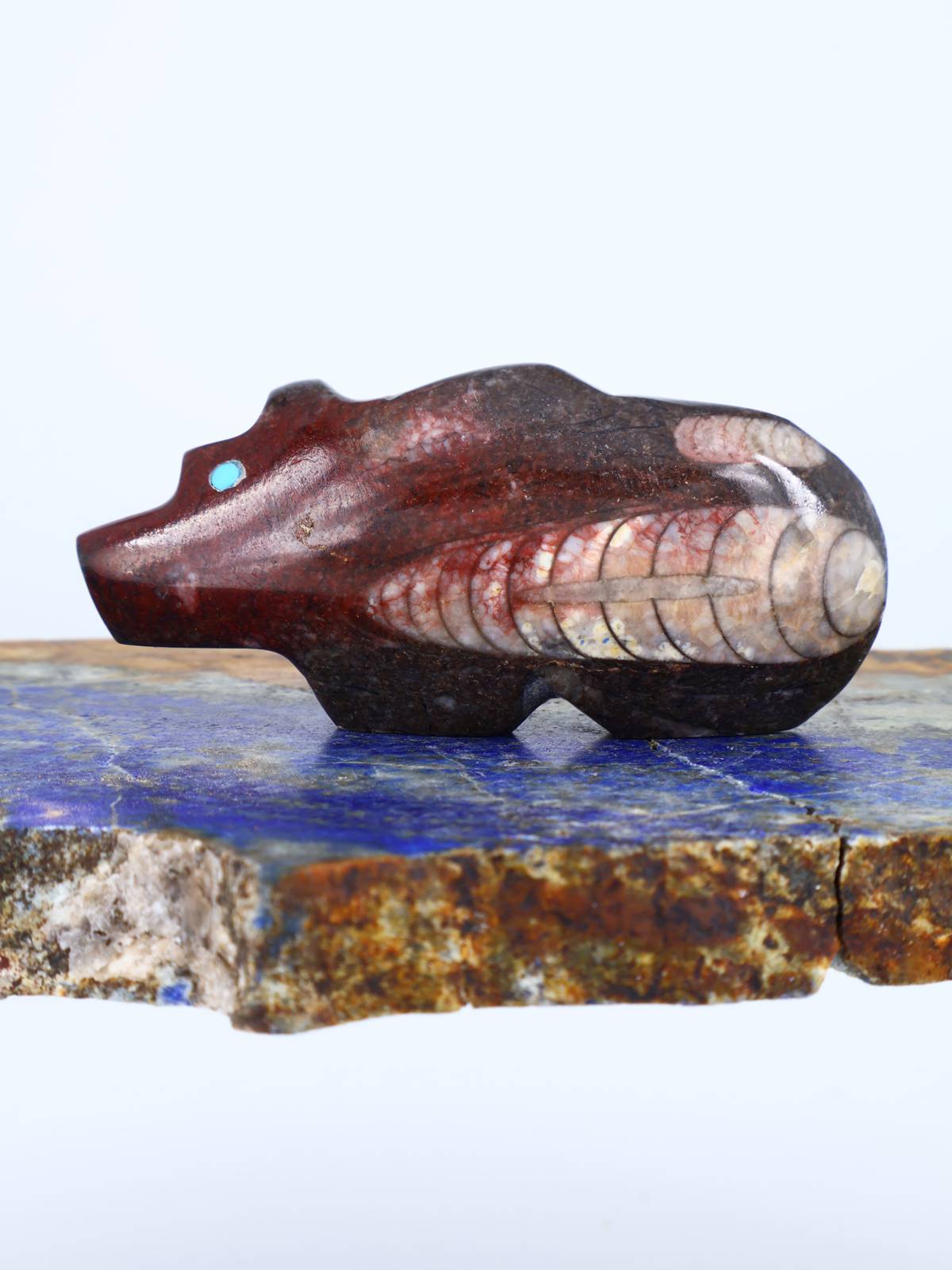 Fossilized Orthoceras Bear Zuni Fetish
