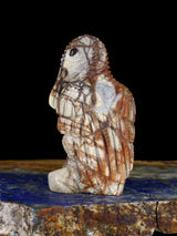 Picasso Marble Turkey Vulture Zuni Fetish - PuebloDirect.com