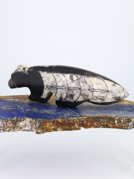 Fossilized Orthoceras Wolf Zuni Fetish - PuebloDirect.com