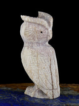 Antler Owl Zuni Fetish - PuebloDirect.com