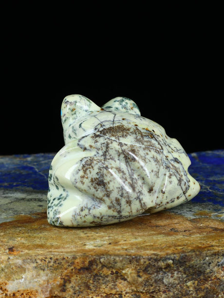 Serpentine Frog Zuni Fetish - PuebloDirect.com