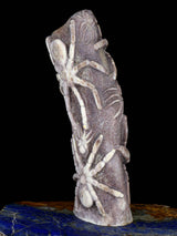 Antler Spiders Zuni Fetish