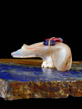 Mother of Pearl Bear Zuni Fetish