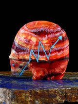 Mammoth Tooth Medicine Bear Zuni Fetish