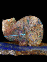 Kaleidoscope Fluorite Medicine Bear Zuni Fetish