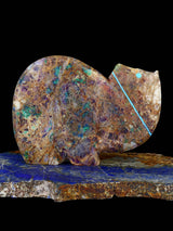 Kaleidoscope Fluorite Medicine Bear Zuni Fetish