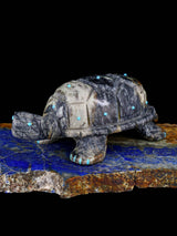 Picasso Marble Turtle Zuni Fetish