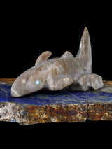 Picasso Marble Shark Zuni Fetish - PuebloDirect.com