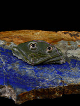 Serpentine Frog Zuni Fetish