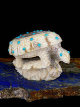 Antler Turtle Zuni Fetish