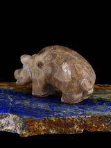 Fossil Stone Pig Zuni Fetish - PuebloDirect.com