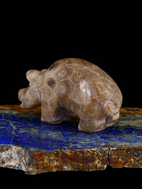 Fossil Stone Pig Zuni Fetish - PuebloDirect.com