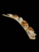 Antler Snails Zuni Fetish - PuebloDirect.com