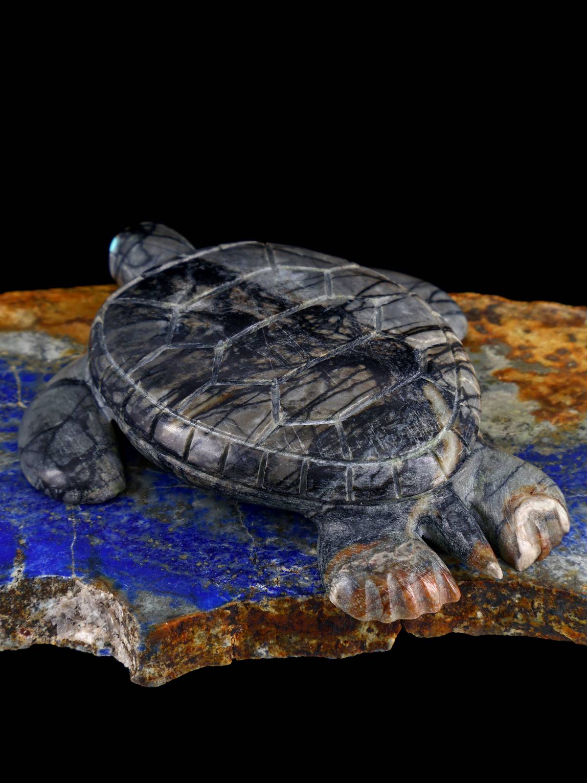 Picasso Marble Turtle Zuni Fetish