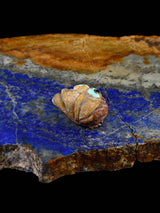 Jasper Frog Zuni Fetish - PuebloDirect.com