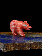 Spiny Oyster Bear Zuni Fetish