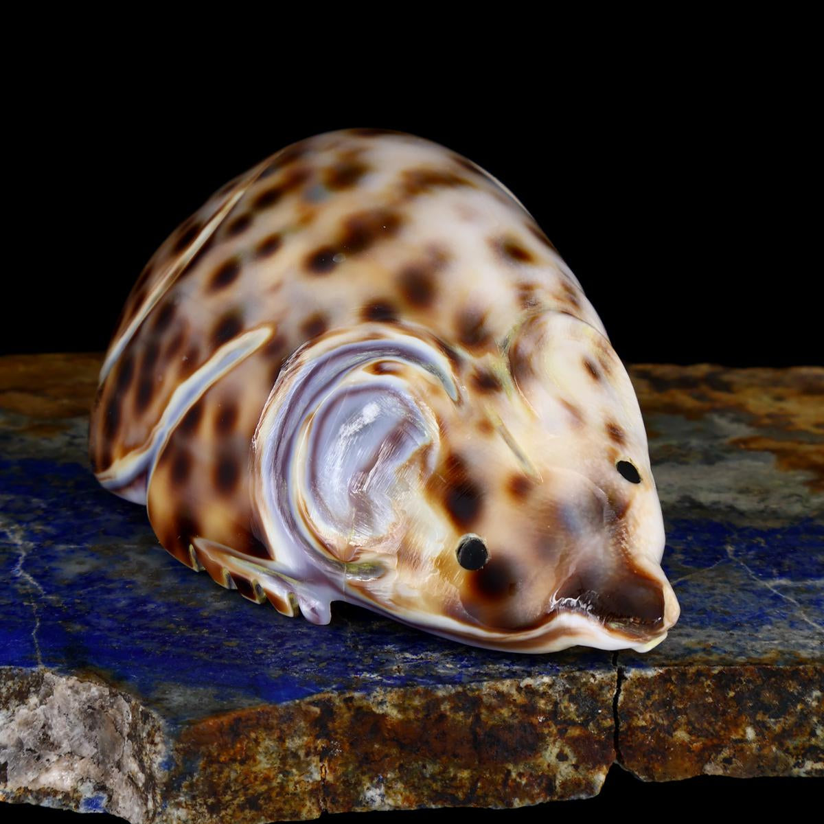 Shell Mouse Navajo Carving – PuebloDirect.com