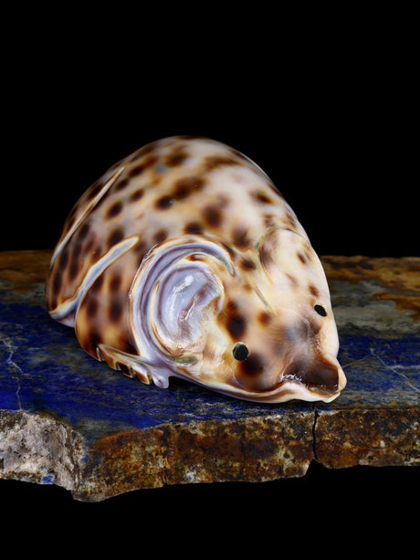 Shell Mouse Navajo Carving - PuebloDirect.com