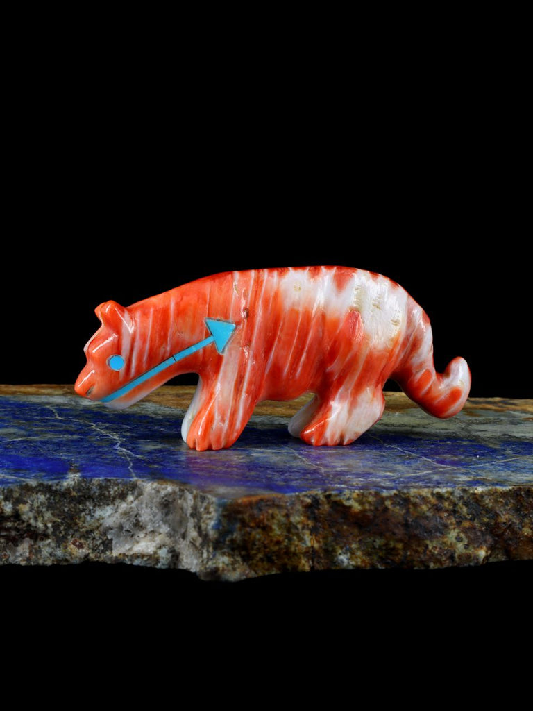 Spiny Oyster Mountain Lion Zuni Fetish - PuebloDirect.com
