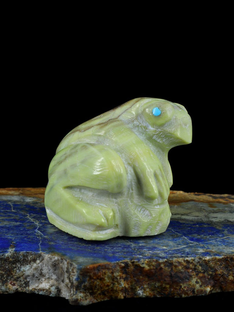 Serpentine Frog Zuni Fetish - PuebloDirect.com