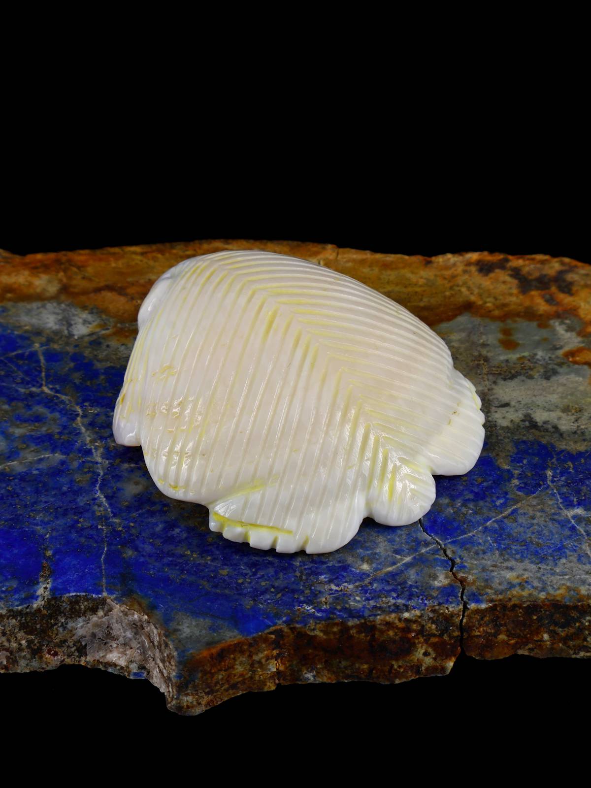 Shell Badger Navajo Carving - PuebloDirect.com