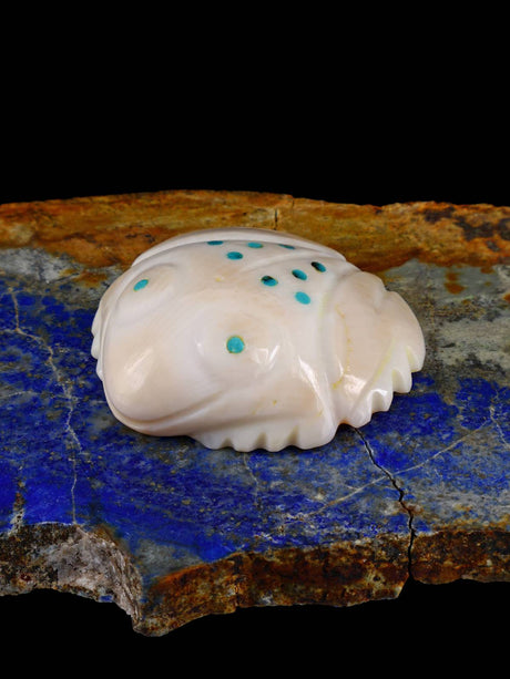 Shell Frog Navajo Carving - PuebloDirect.com