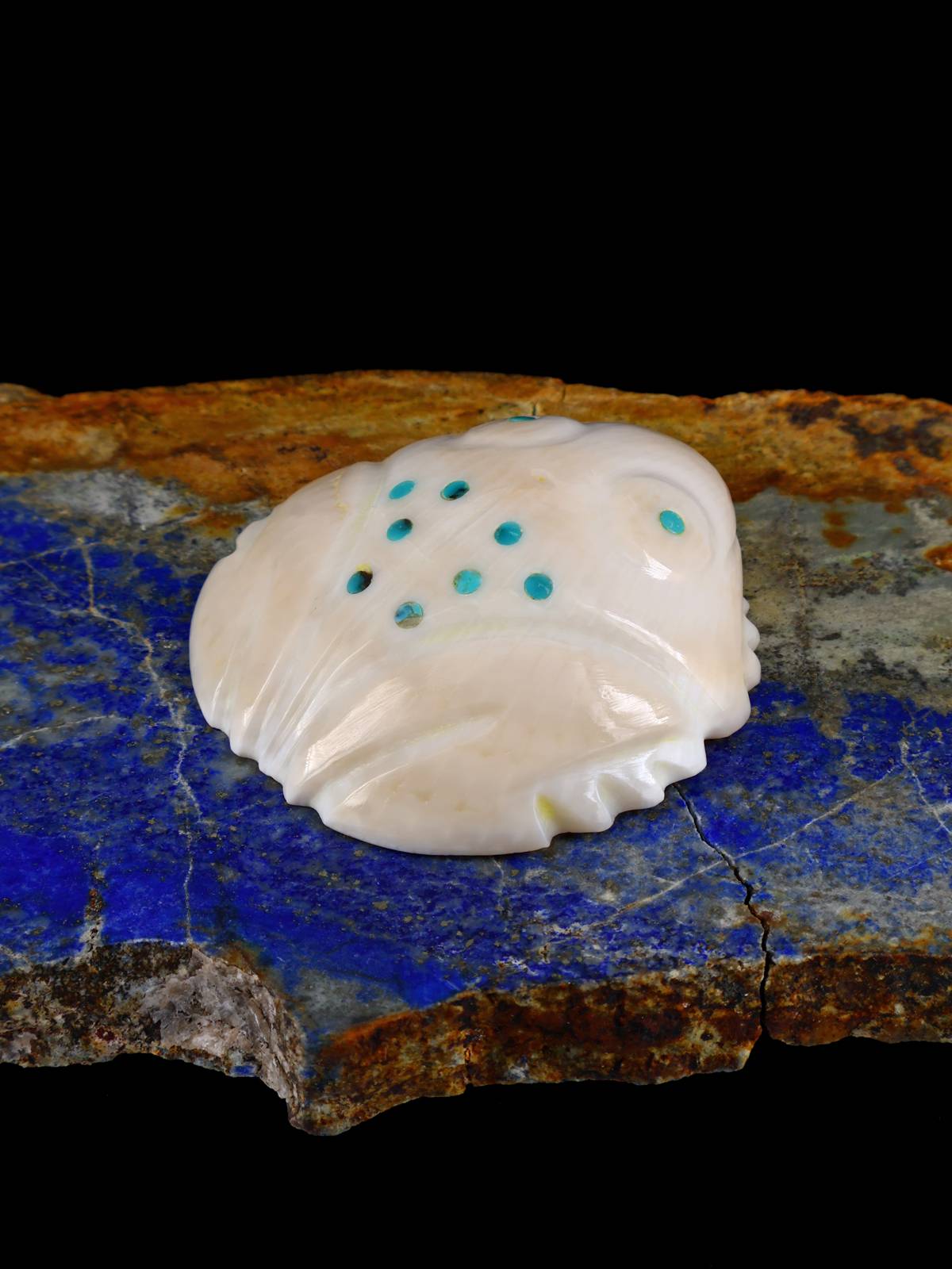 Shell Frog Navajo Carving - PuebloDirect.com