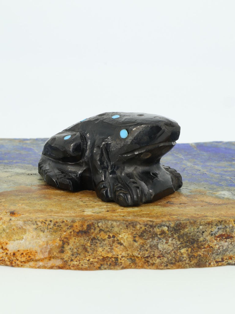 Black Jet Frog Zuni Fetish - PuebloDirect.com