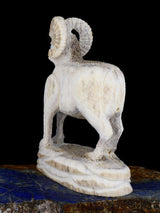 Antler Ram Zuni Fetish - PuebloDirect.com
