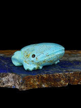 Turquoise Frog Navajo Carving M097 - PuebloDirect.com