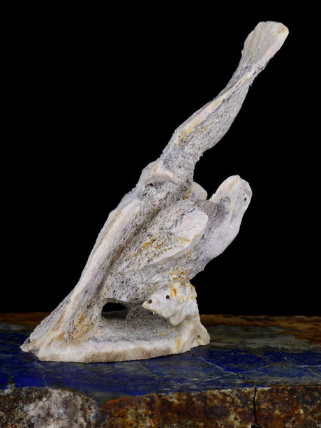 Antler Eagle Family Zuni Fetish