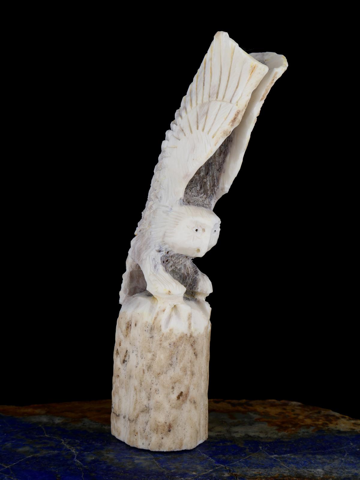 Antler Owl Zuni Fetish