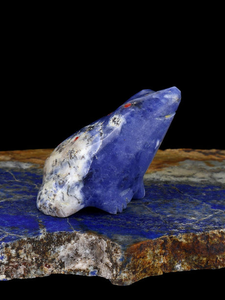 Sodalite Frog Zuni Fetish
