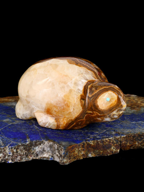 Onyx Turtle Zuni Fetish