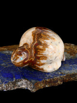 Onyx Turtle Zuni Fetish