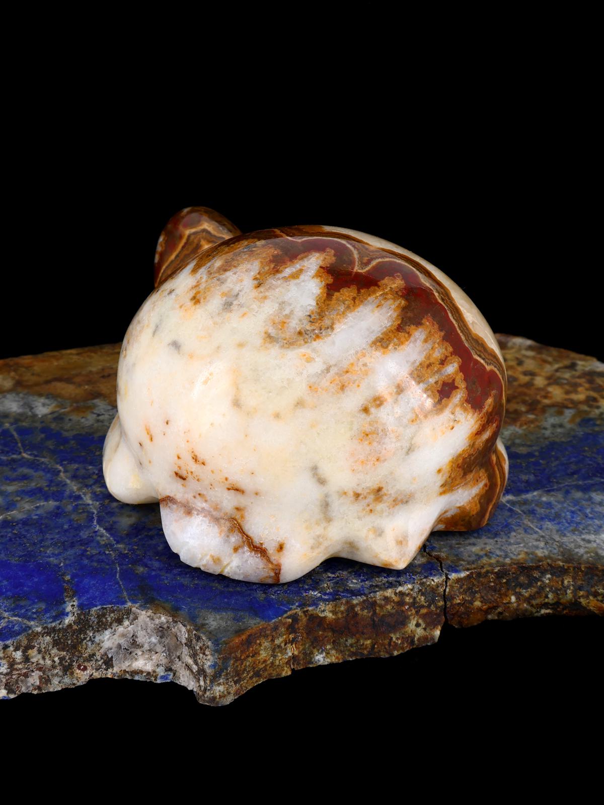 Onyx Turtle Zuni Fetish