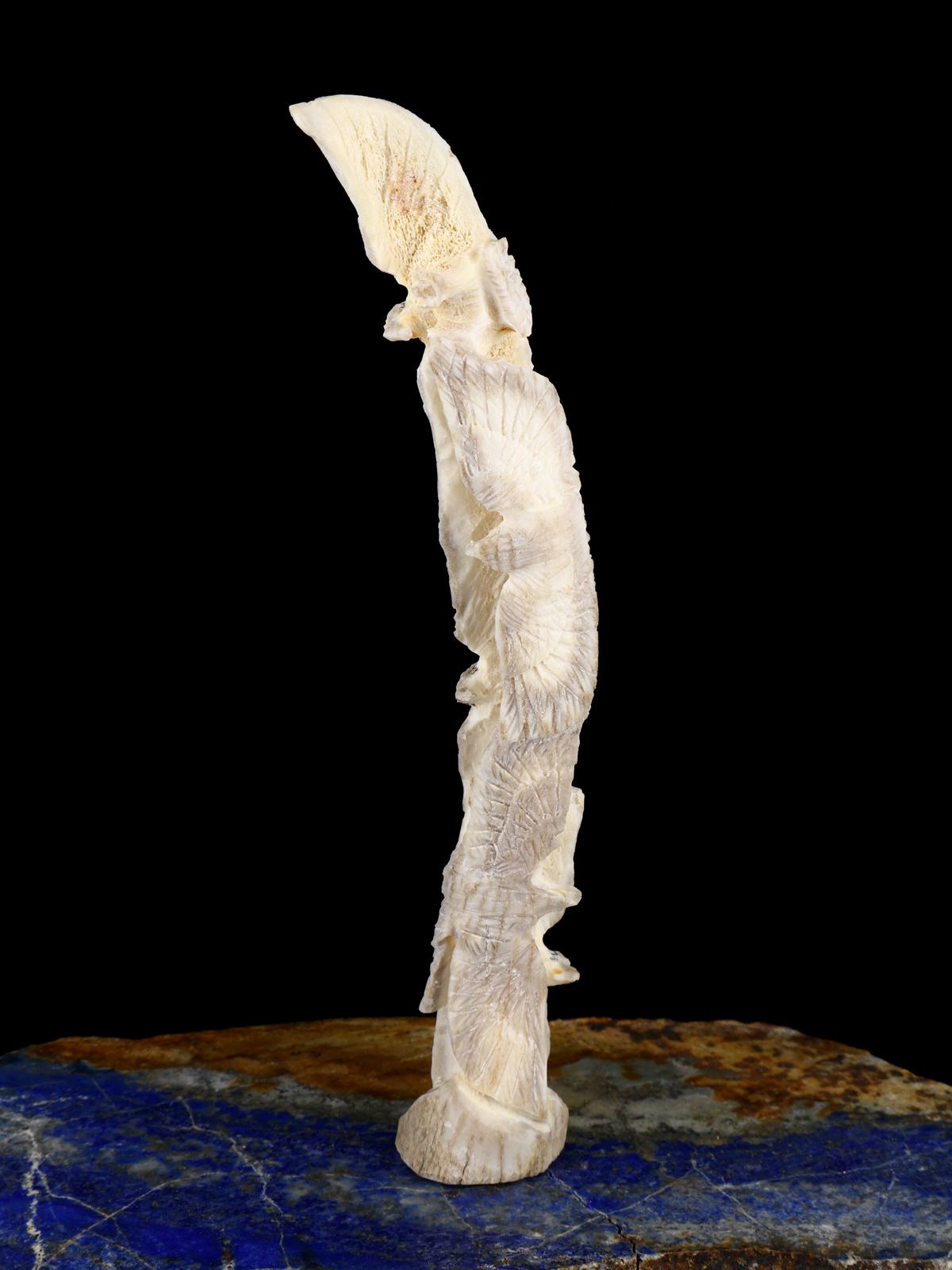 Antler Eagle Famille Zuni Fétiche